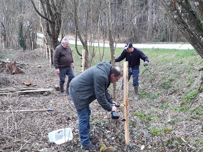 Eco-Patûrage à la Chapelle de Brain (2ème partie) ...