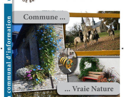Bulletin annuel communal