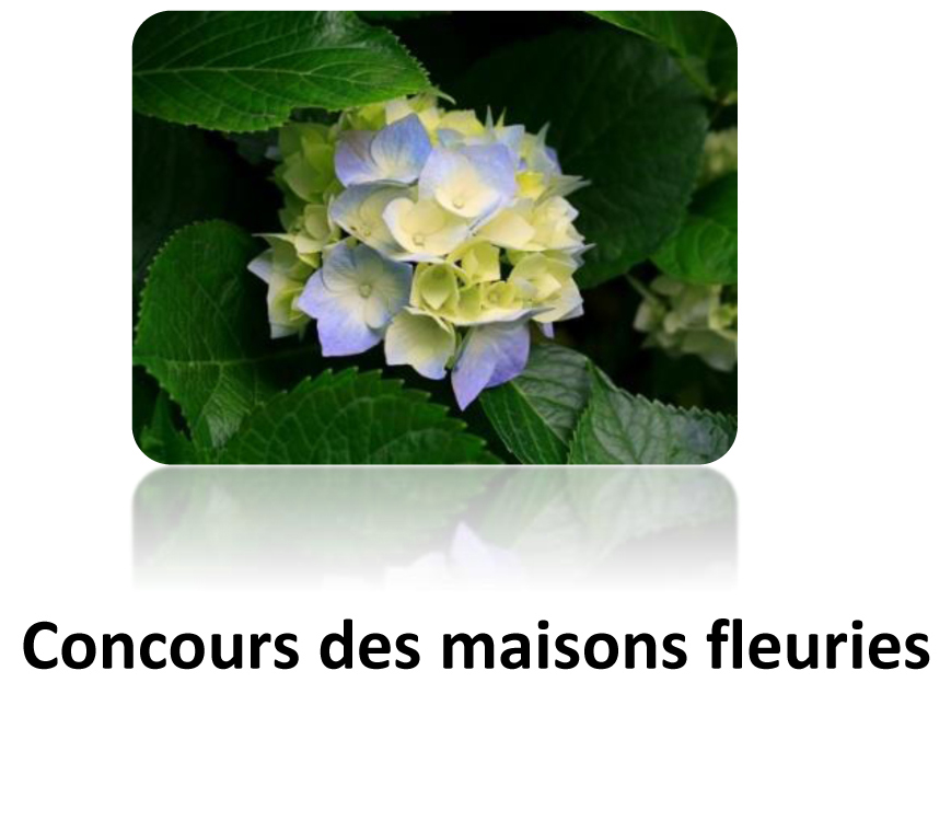 Concours des maisons fleuries