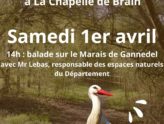 Journée Biodiversité
