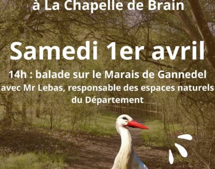 Journée Biodiversité