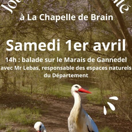 Journée Biodiversité