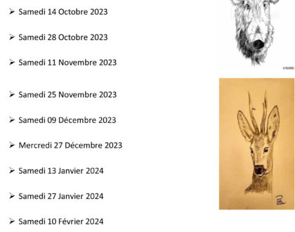 Le programme des battues de l'ACCA