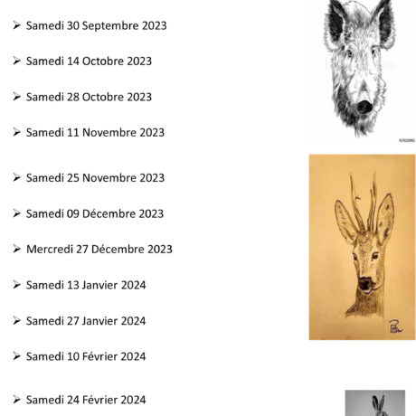 Le programme des battues de l'ACCA