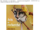 Biodiversité - Avis de recherche du Lérot