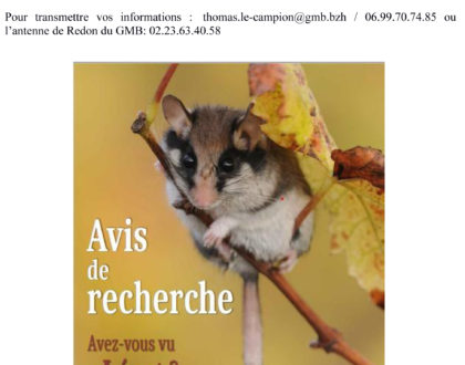 Biodiversité - Avis de recherche du Lérot