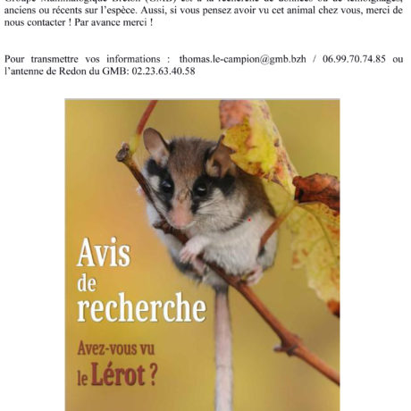 Biodiversité - Avis de recherche du Lérot