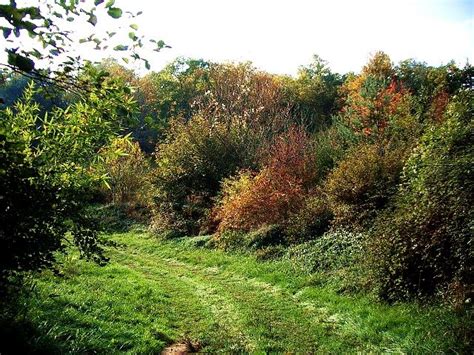 Campagne de plantation des haies bocagères