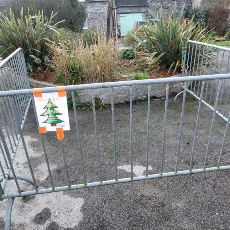 Collecte de sapins de Noël