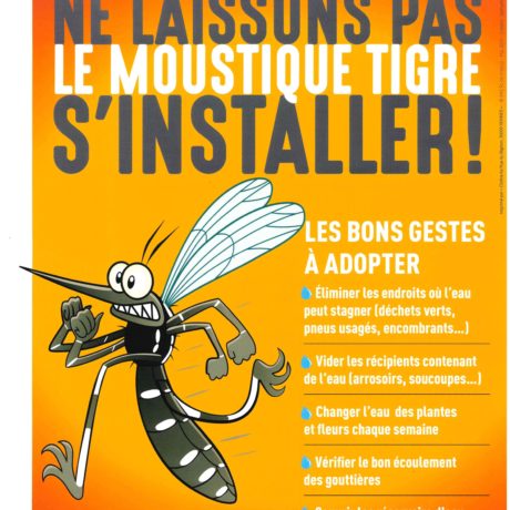 Attention au moustique tigre