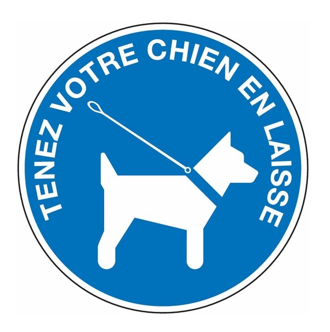 Interdiction de divagation des chiens