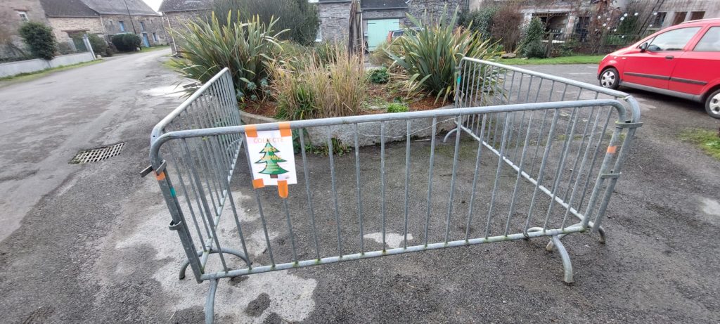 Collecte de sapins de Noël