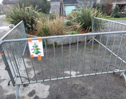 Collecte de sapins de Noël